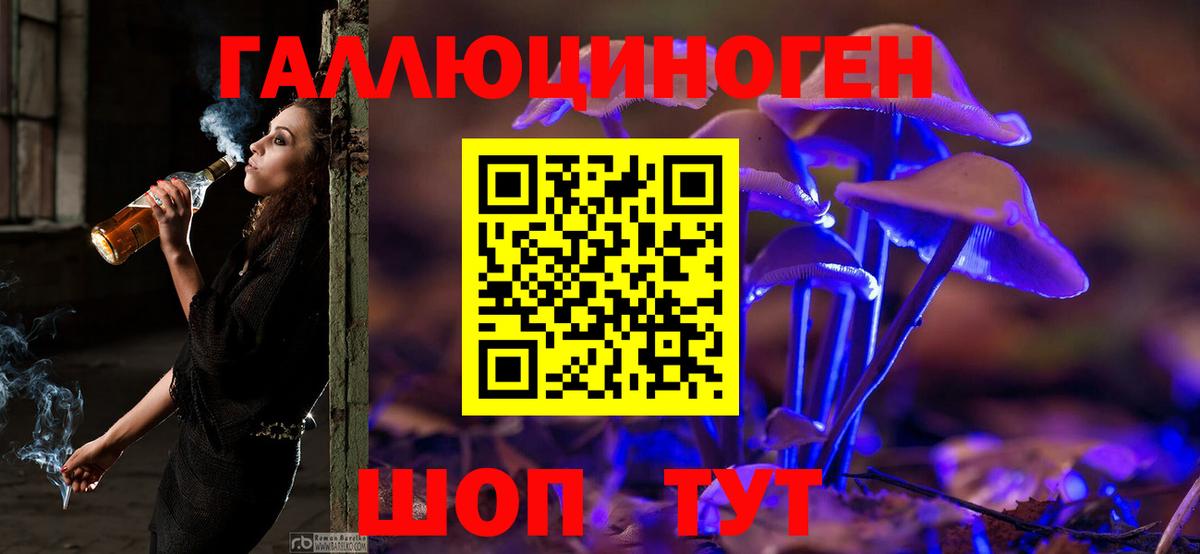 Псилоцибиновые грибы Cubensis  Галлюциногенные грибы прущие грибы  Ноябрьск  Вход с VPN 